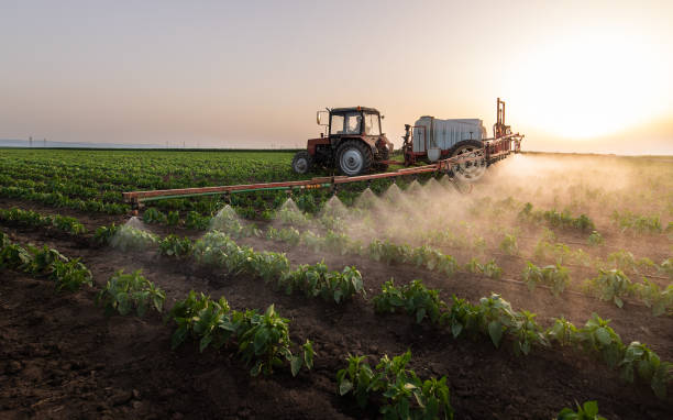 Insect Control in Hillsboro, MO