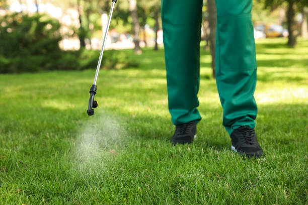 Best Bed Bug Extermination  in Hillsboro, MO