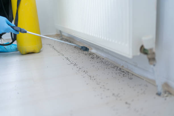 Hillsboro, MO Pest Control Company