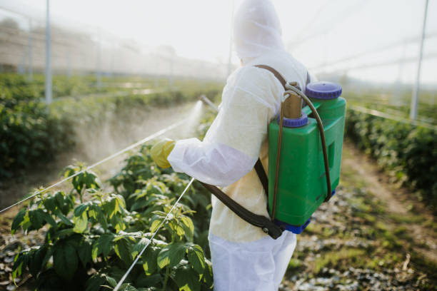 Best Commercial Pest Control Services  in Hillsboro, MO